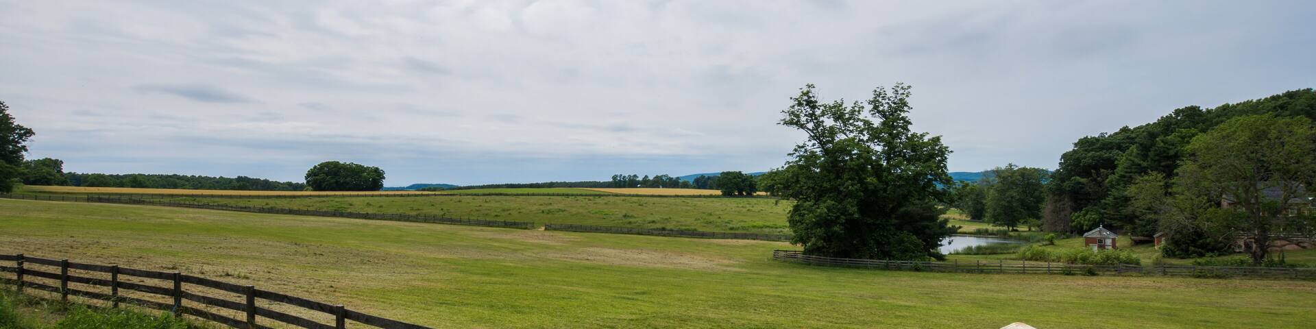 Rural Country York County Pennsylvania Farmland, on a Summer Day