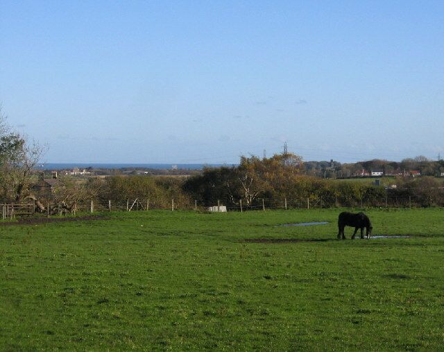 Field behind High Farm. Taken from the beginning of the old railway path north of Killingworth