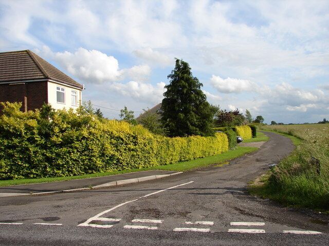 A rural road with a house on the left, a hedge, and a tree on the right.