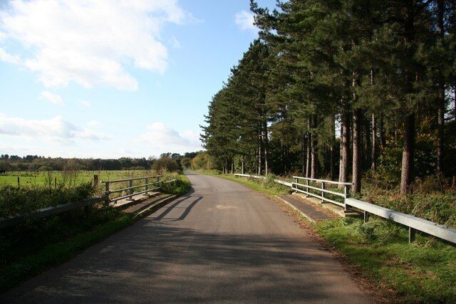 A rural road flanked by tall trees and a white fence.