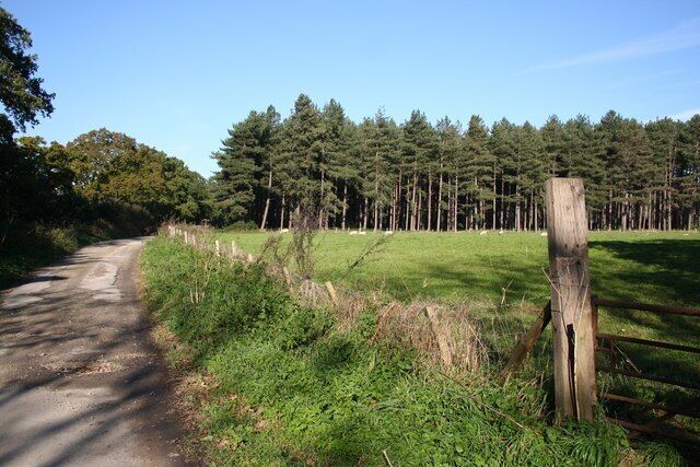 Laughton Forest from Scotter Road