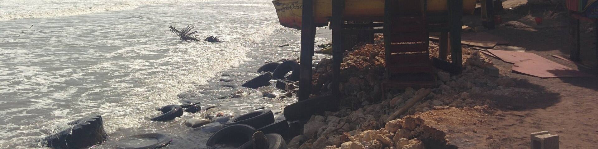 Great food and ambience!