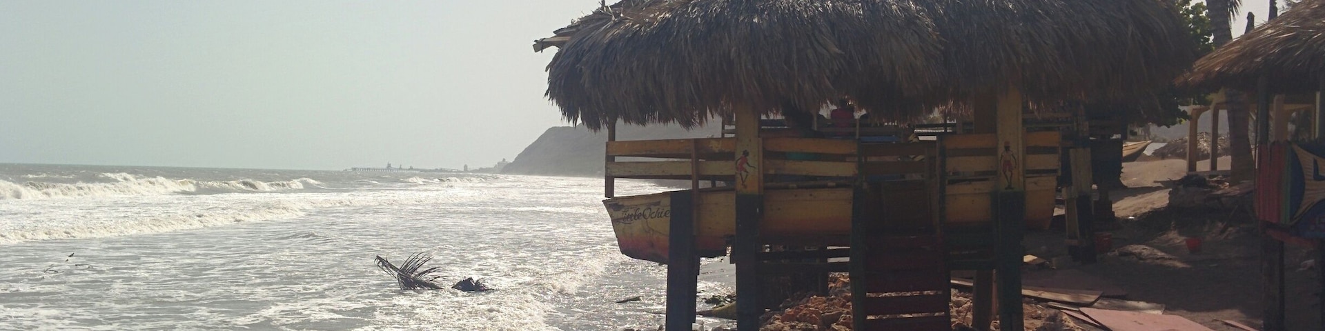 Great food and ambience!