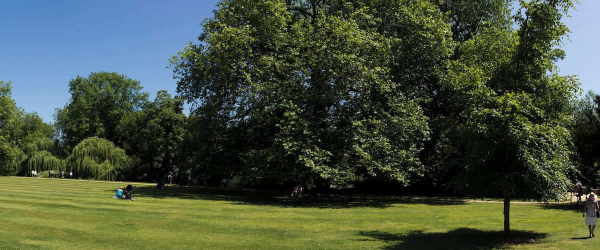 A well-manicured lawn, a large tree, and a historic building in the background.