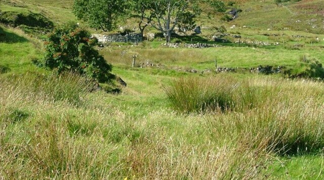 Ruins at Galtrigill
