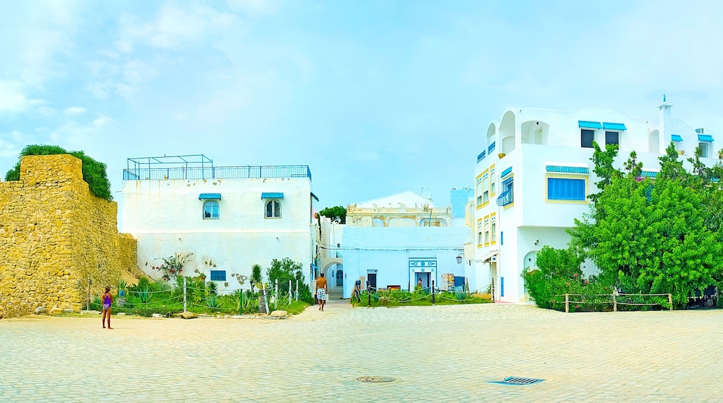 Panorama of Hammamet medina with preserved fortress wall, Tunisia