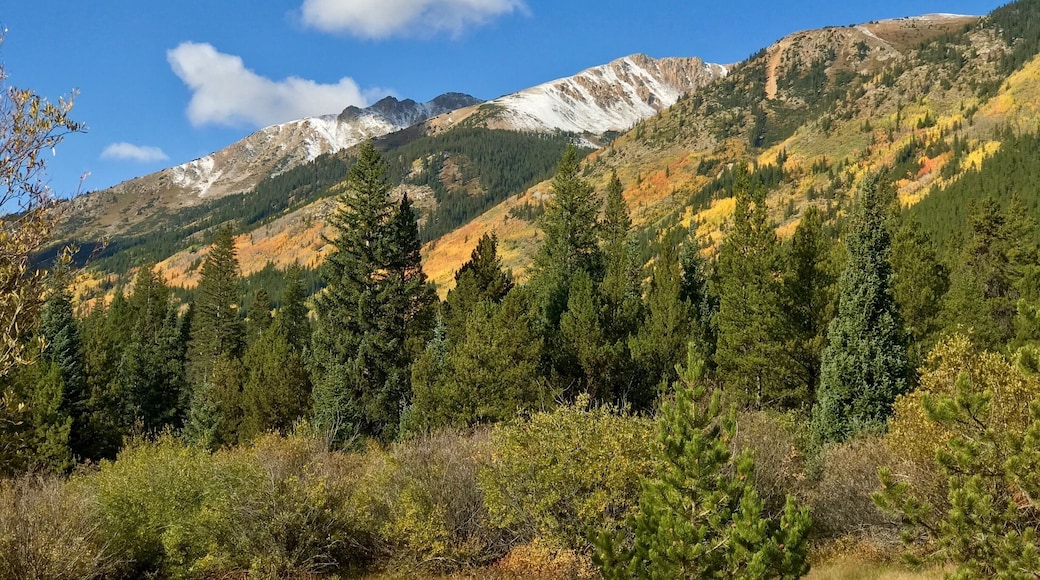 Snow in the high country