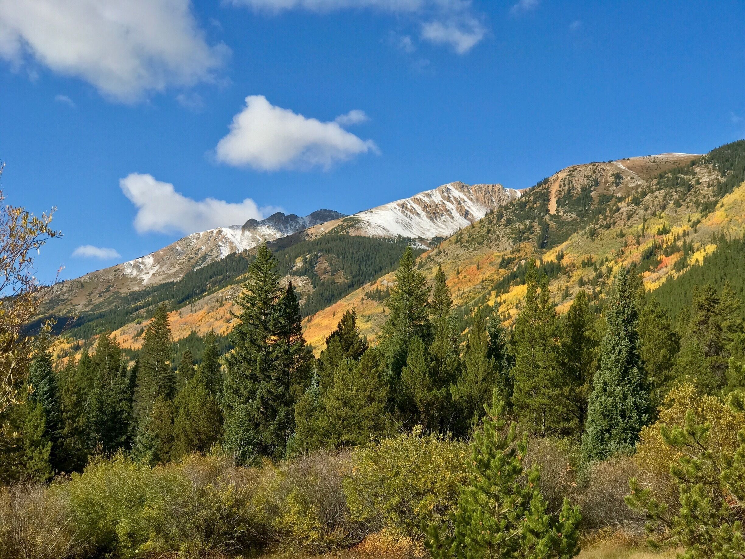 A mountainous landscape with evergreen trees and a clear blue sky.