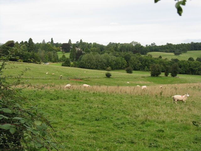 Across fields to Bredenbury