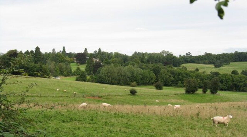 Across fields to Bredenbury