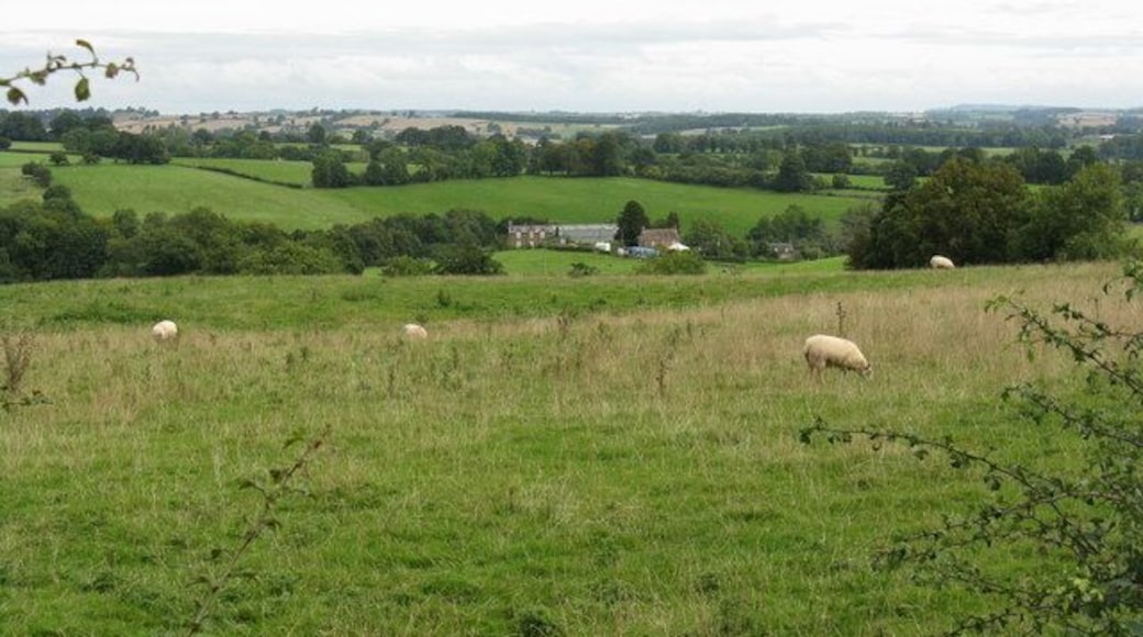 Red Hill Farm and fields