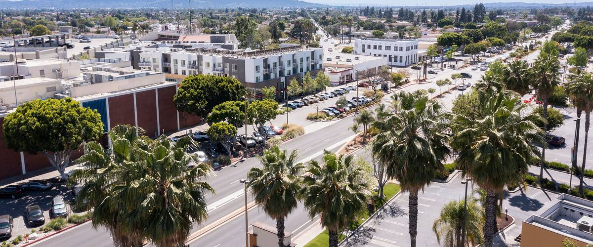 A cityscape with palm trees, buildings, and a clear sky.