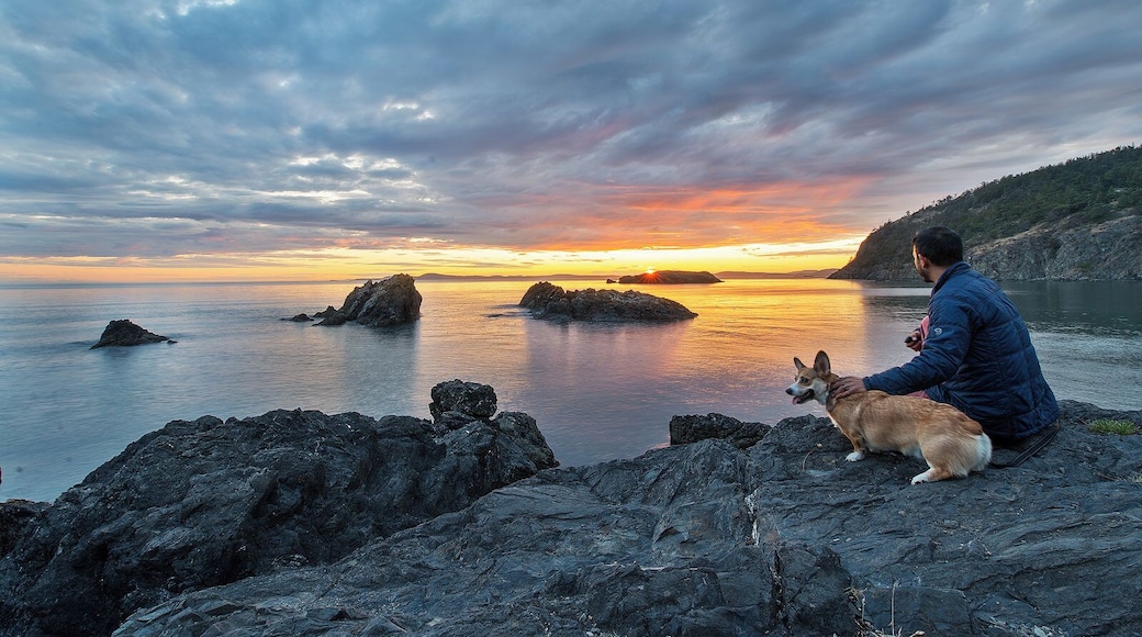 The Deception Pass area is one of my favorite places to explore. Short drive and plenty to see!