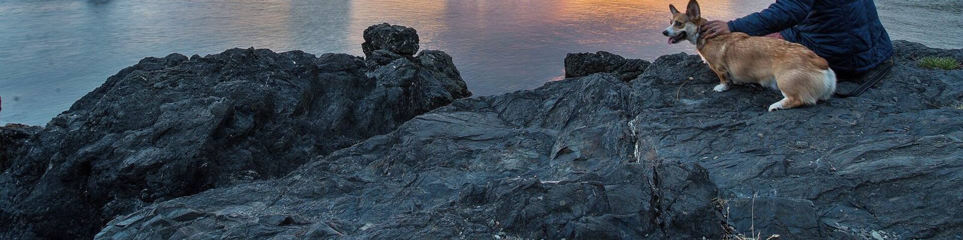 The Deception Pass area is one of my favorite places to explore. Short drive and plenty to see!