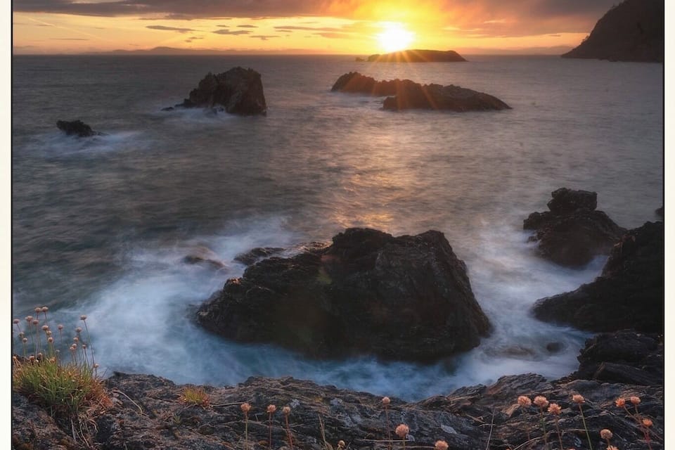 A sunset over rocky coastline with waves crashing against the rocks and small plants growing in the foreground.