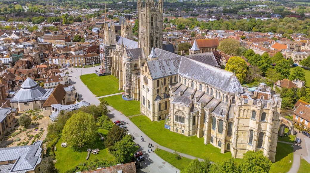 Eine historische Kathedrale mit einem hohen Turm, umgeben von einer Stadt mit traditioneller Bebauung und einem grünen Park.