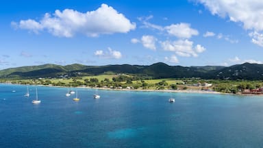 Paisagem costeira com águas azul-claras, vários veleiros e colinas verdes ao fundo.