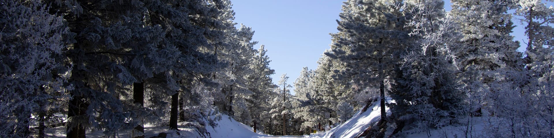 Rampart Range Road 11/2018