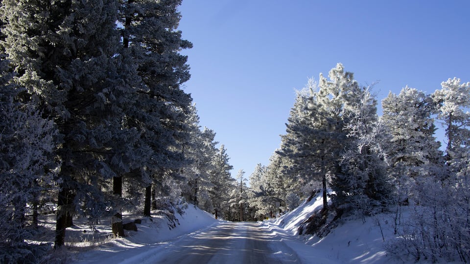 Rampart Range Road 11/2018