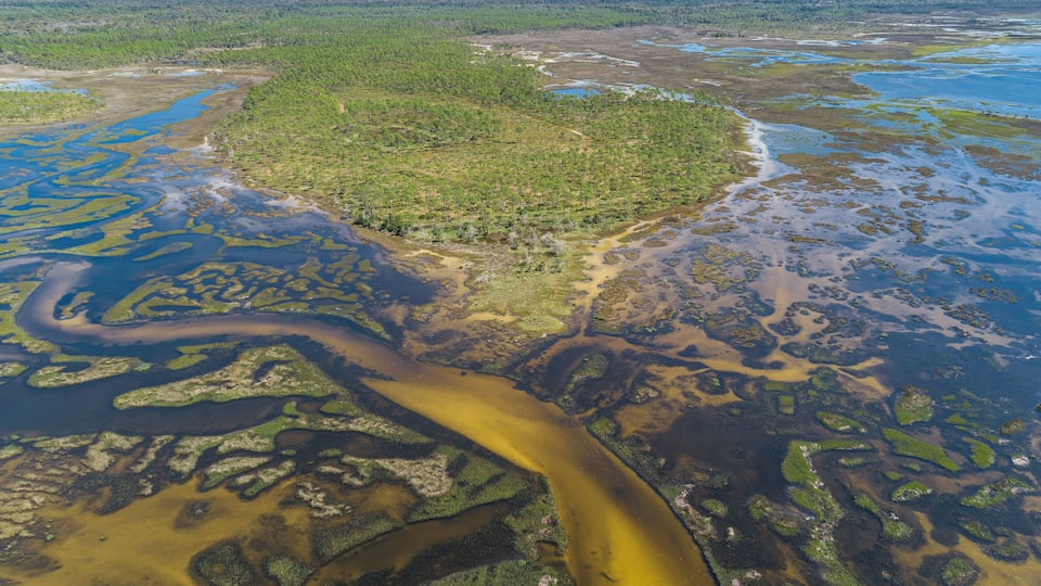 A river winding through a forested area with patches of water and land.
