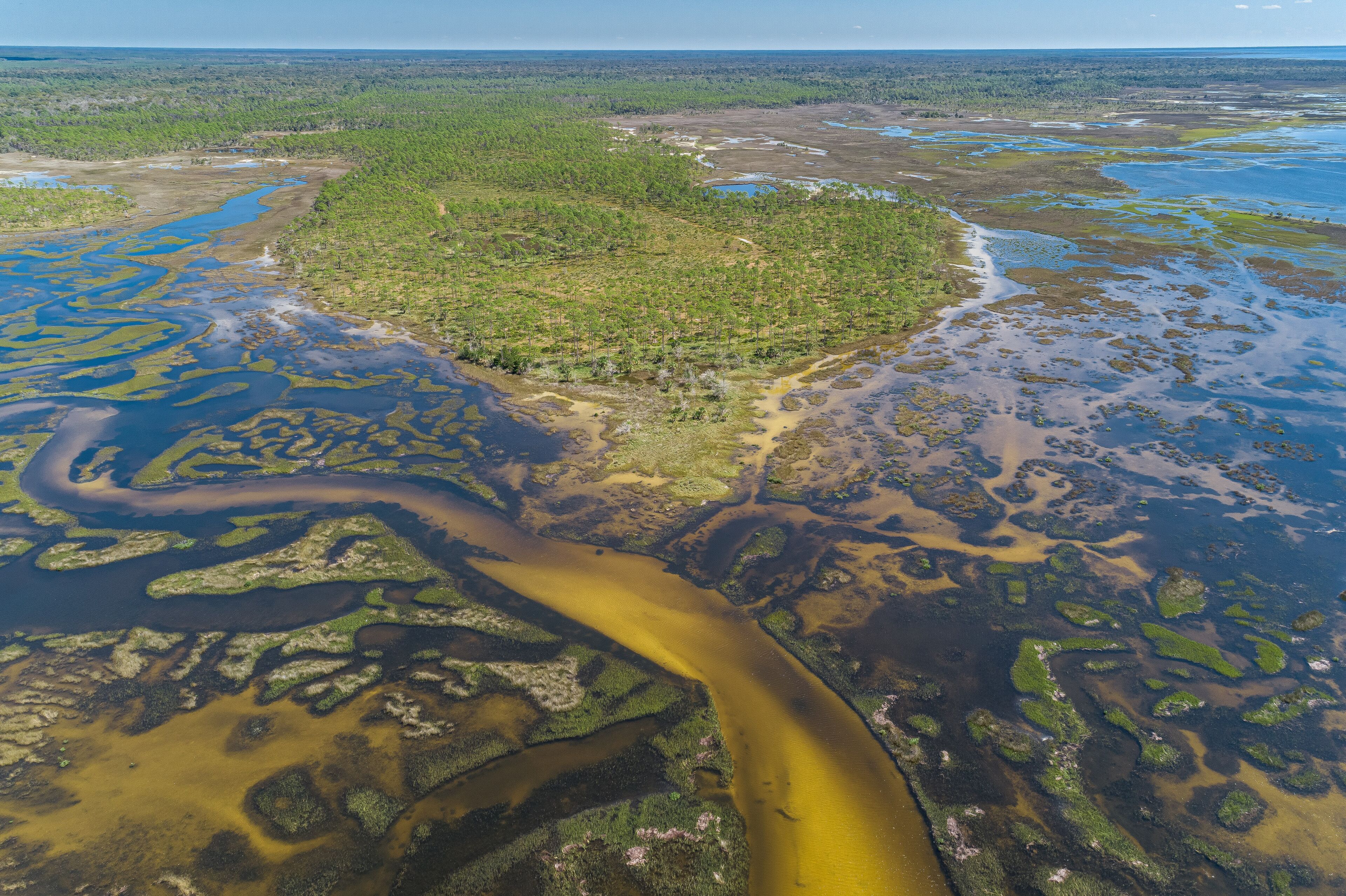 A river winding through a forested area with patches of water and land.