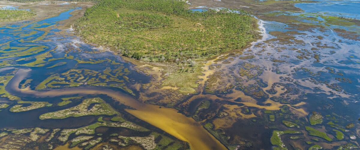 A river winding through a forested area with patches of water and land.