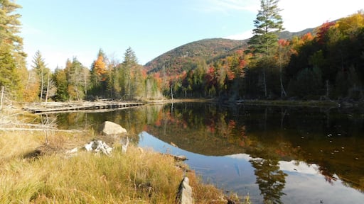 A peaceful mountain lake near Mt. Marcy