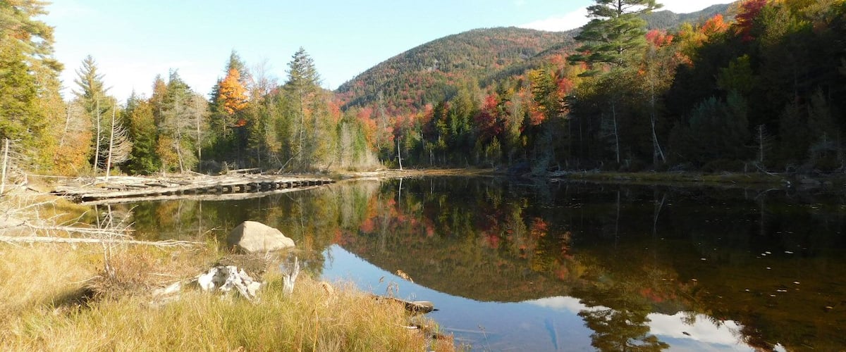 A calm lake surrounded by autumn-colored trees and a forested hillside.