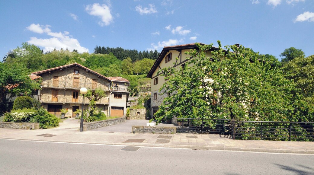 01160 Ibarra, Araba, Spain