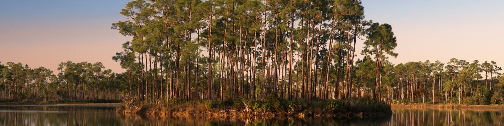 Sunrise at Long Pine Key Lake in Everglades National Park near Homestead, Florida