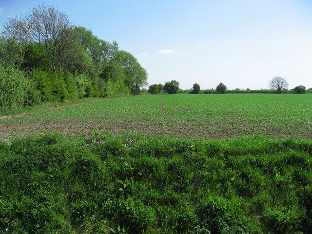A rural landscape with a plowed field, dense green vegetation, and scattered trees.