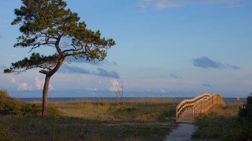 Piazza-Tralia-Pendolo