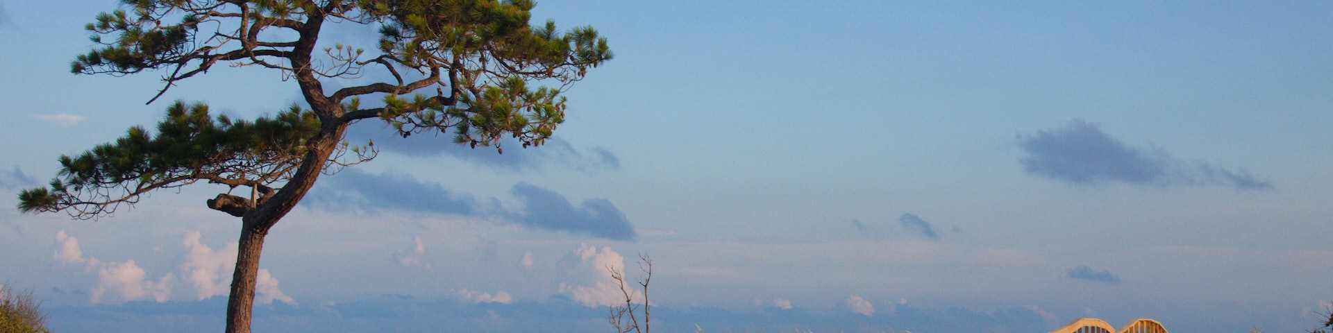 BHC875 Walkway to the beach at Alligator Point, Florida. Image shot 06/2009. Exact date unknown.