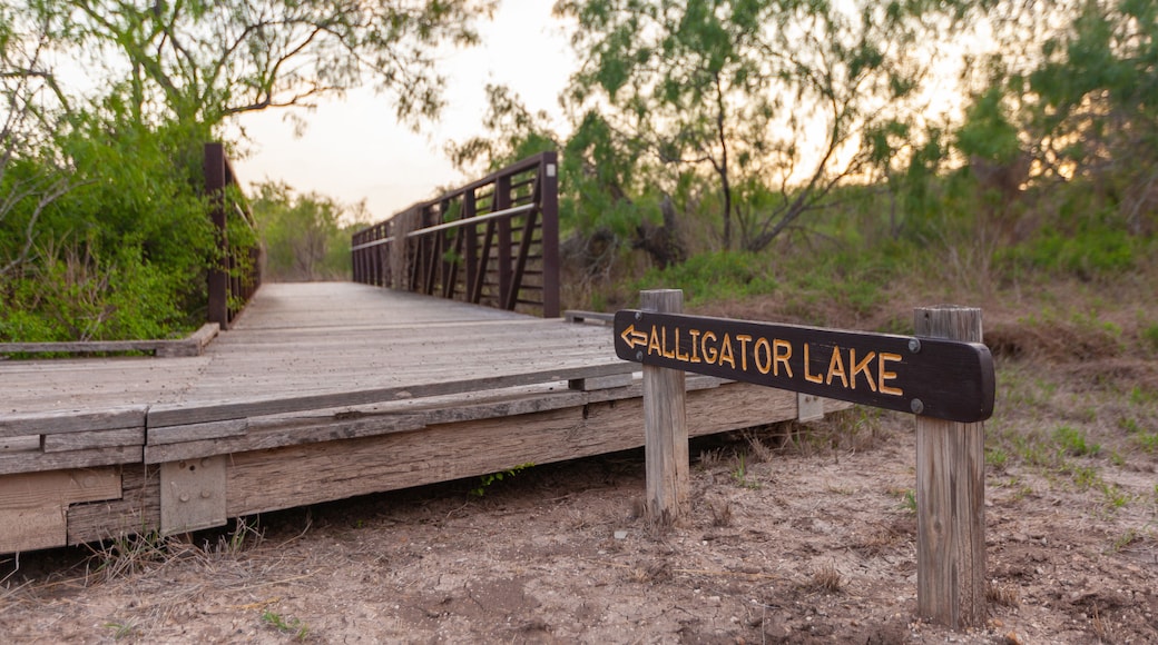 Sign pointing towards Alligator Lake at boardwalk bridge entrance in Estero Llano Grande State Park