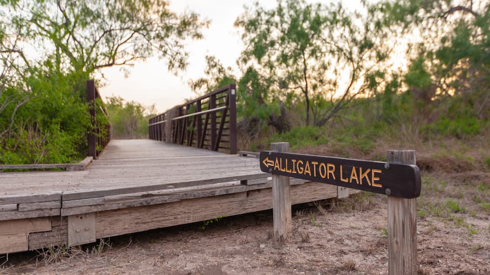 A wooden boardwalk leading to Alligator Lake with a directional sign.