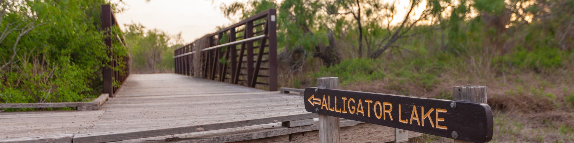 Sign pointing towards Alligator Lake at boardwalk bridge entrance in Estero Llano Grande State Park