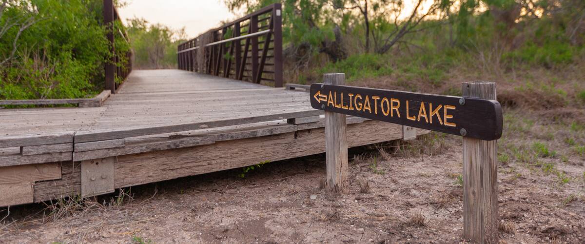 A wooden boardwalk leading to Alligator Lake with a directional sign.