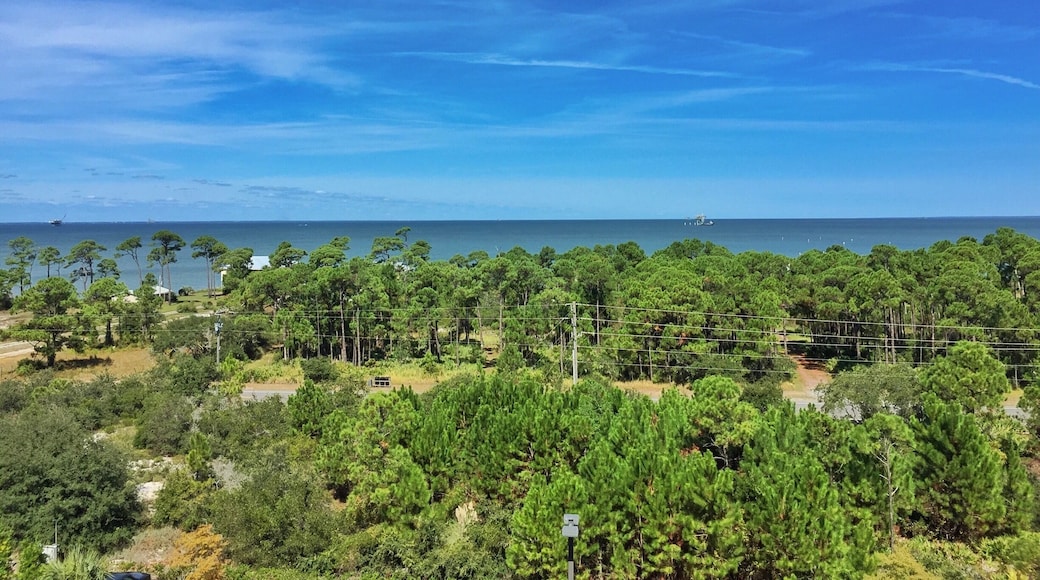 Gulf Shores, Alabama. My home away from home!