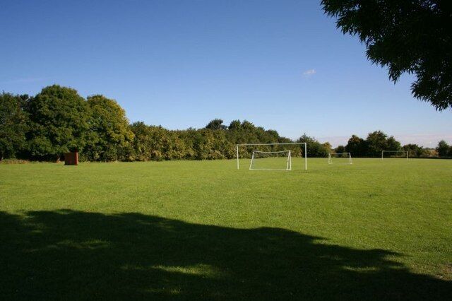 A soccer field with goals and a tree in the background.