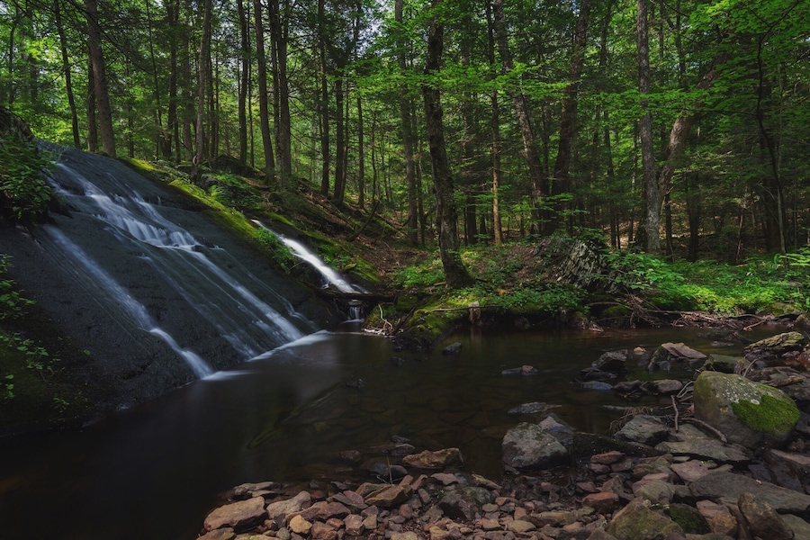 Little waterfall at Stokes State Forest
#weekendgetaway #park #newjersey #waterfall #water #waterlust #nature #hike #hiking #forest #woods #stokesstateforest