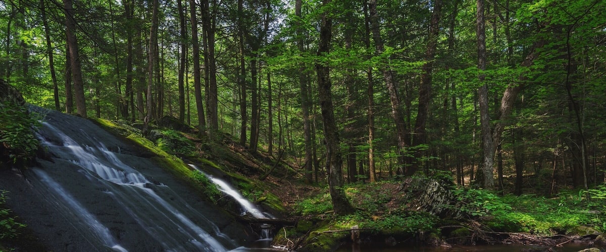 Little waterfall at Stokes State Forest
#weekendgetaway #park #newjersey #waterfall #water #waterlust #nature #hike #hiking #forest #woods #stokesstateforest