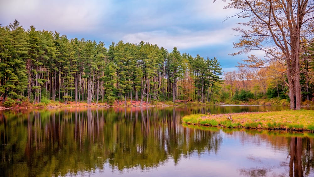 A calm lake surrounded by dense evergreen trees and a few deciduous trees with autumn leaves.