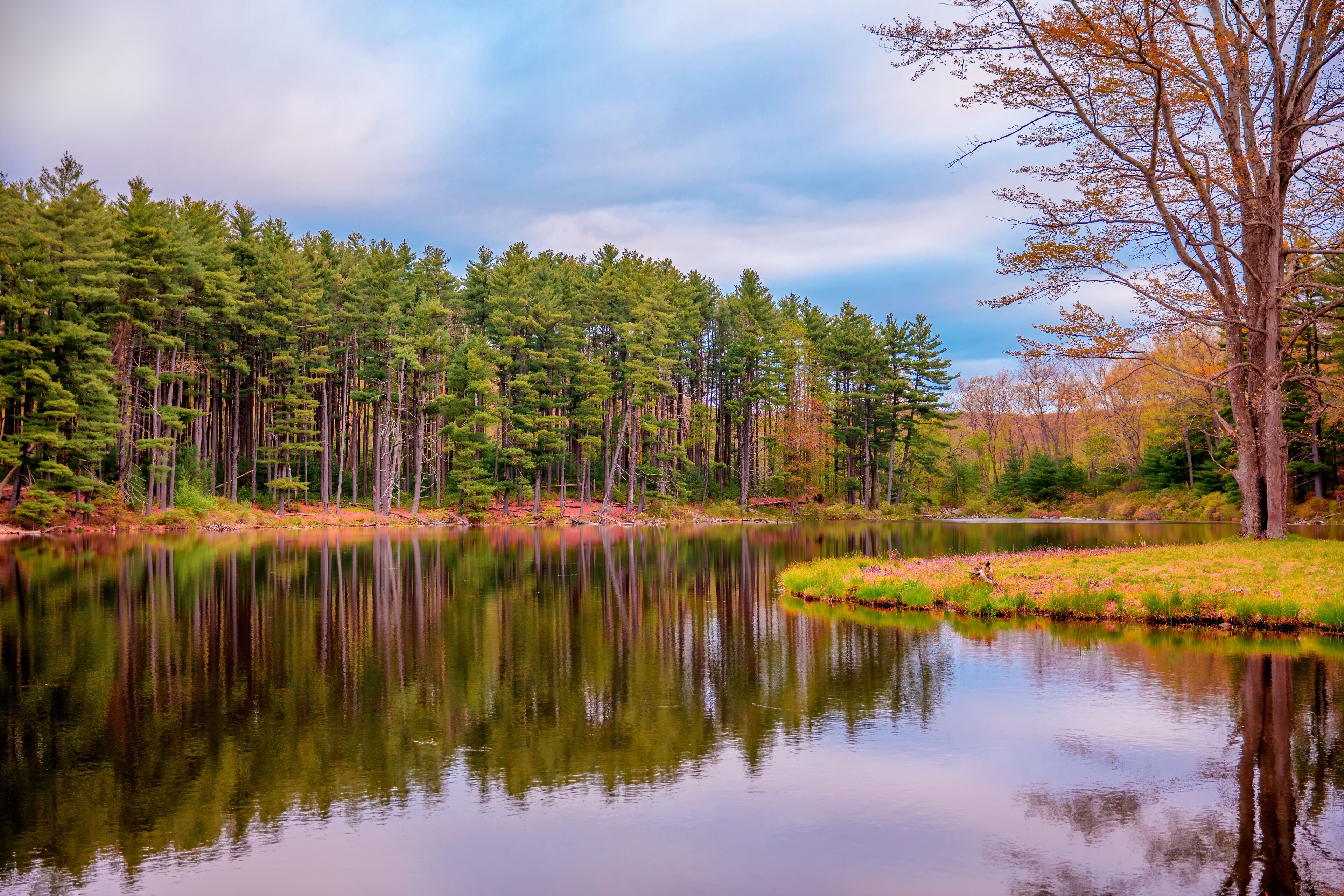 A calm lake surrounded by dense evergreen trees and a few deciduous trees with autumn leaves.
