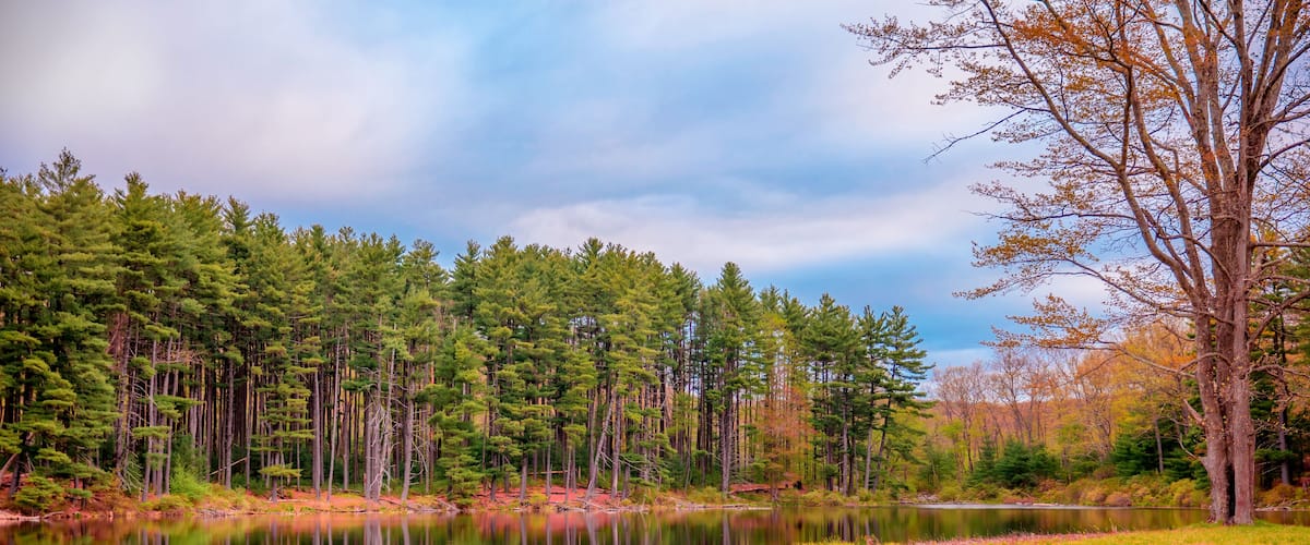 A calm lake surrounded by dense evergreen trees and a few deciduous trees with autumn leaves.