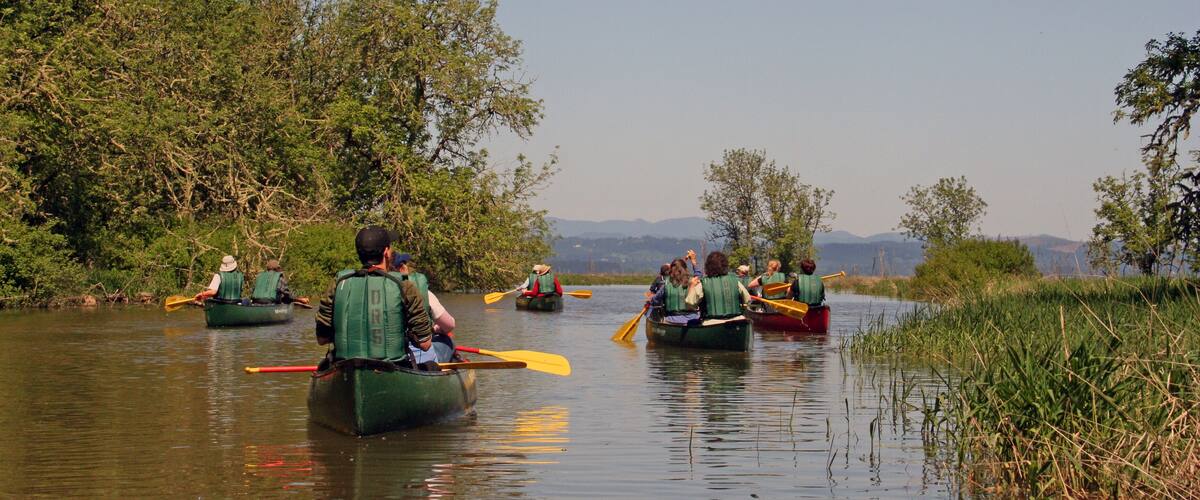 canoers on the water