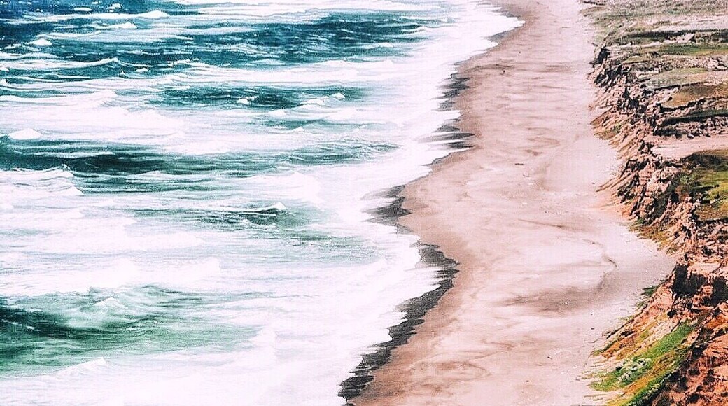 Point Reyes National Seashore.One of the best places to in SanFrancisco. You oughta visit this place. Its unreal ..
#adventure #travel #spring #colorful #beautifulplaces #blue #california #pointreyes #nature #hiking