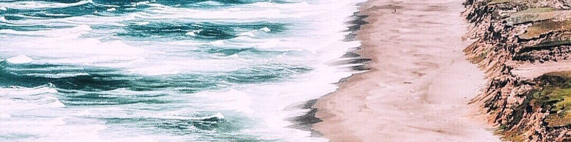 Point Reyes National Seashore.One of the best places to in SanFrancisco. You oughta visit this place. Its unreal ..
#adventure #travel #spring #colorful #beautifulplaces #blue #california #pointreyes #nature #hiking