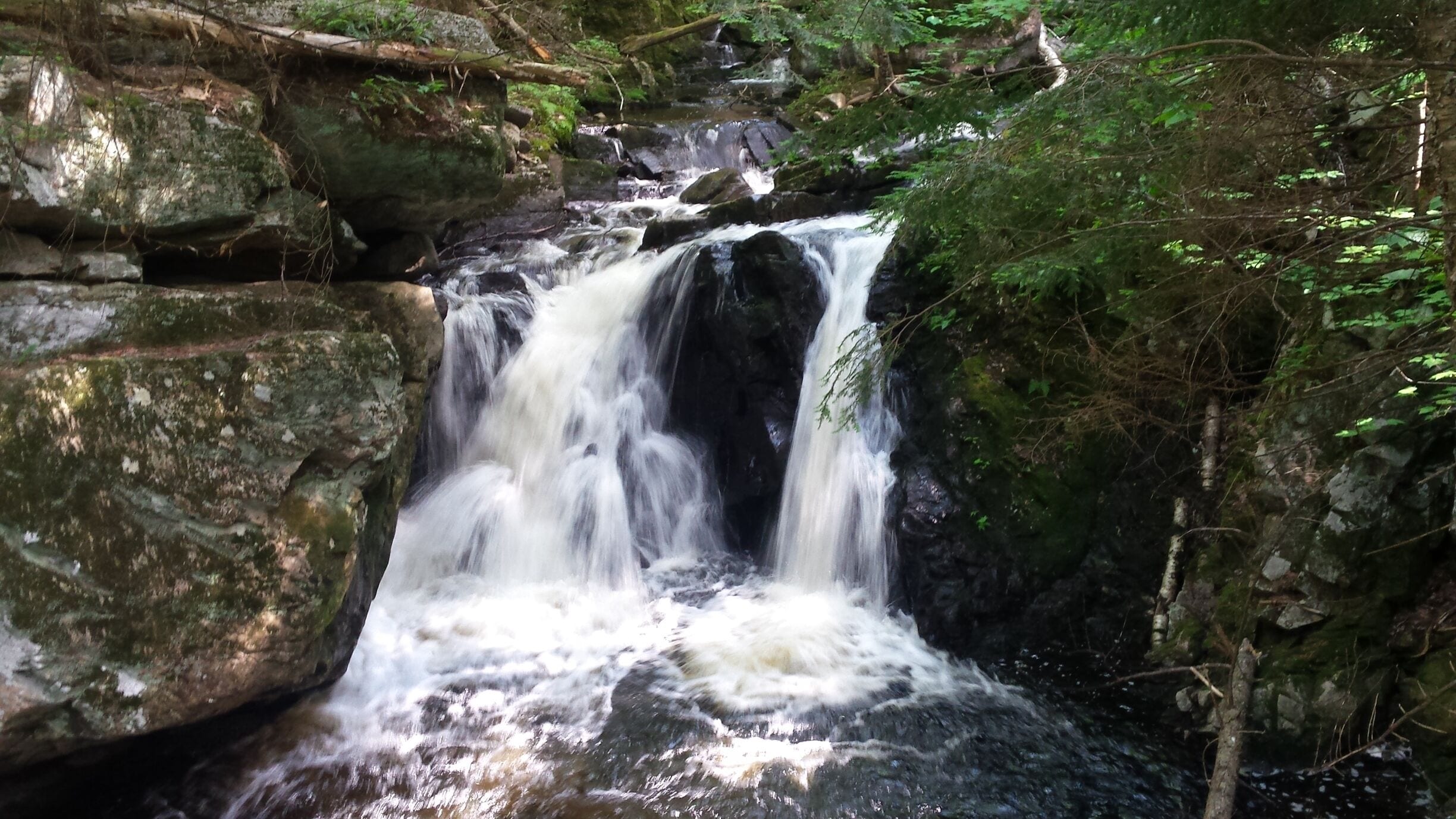 A waterfall cascading over moss-covered rocks in a forested area.
