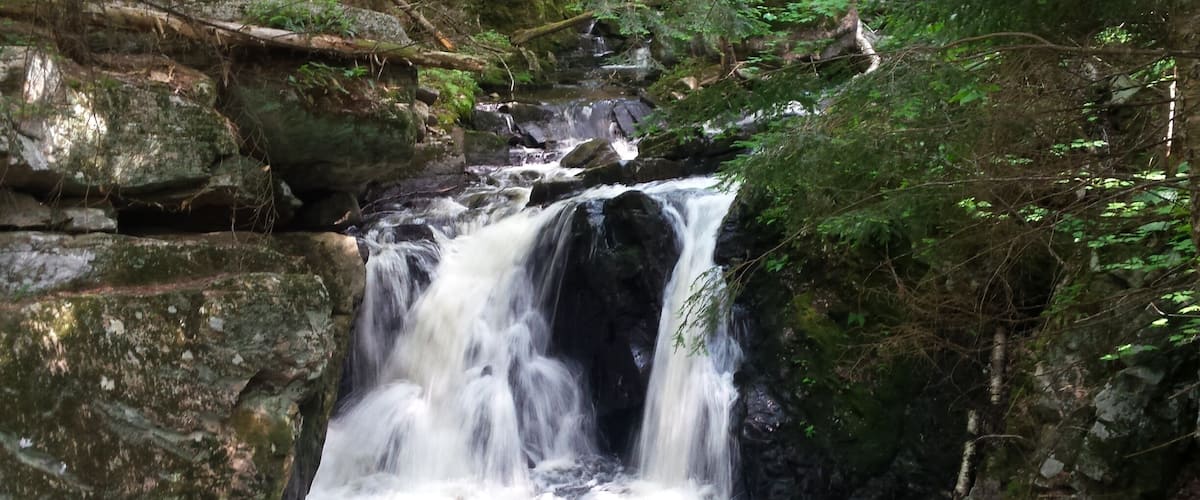 A waterfall cascading over moss-covered rocks in a forested area.