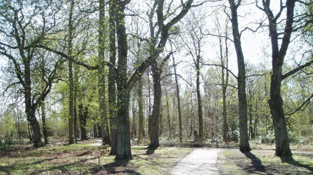 Plean Country Park. This attractive Country Park was established in the 1980's when The Coal Board handed over the Area including the ruins of Plean House to the local council. The Park has many attractive country walks available through mature woodland and also includes The walled Garden, Picnic Areas and Marked Trails.